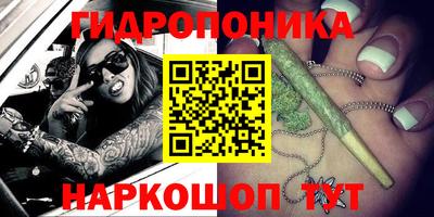 стафф Ижевск