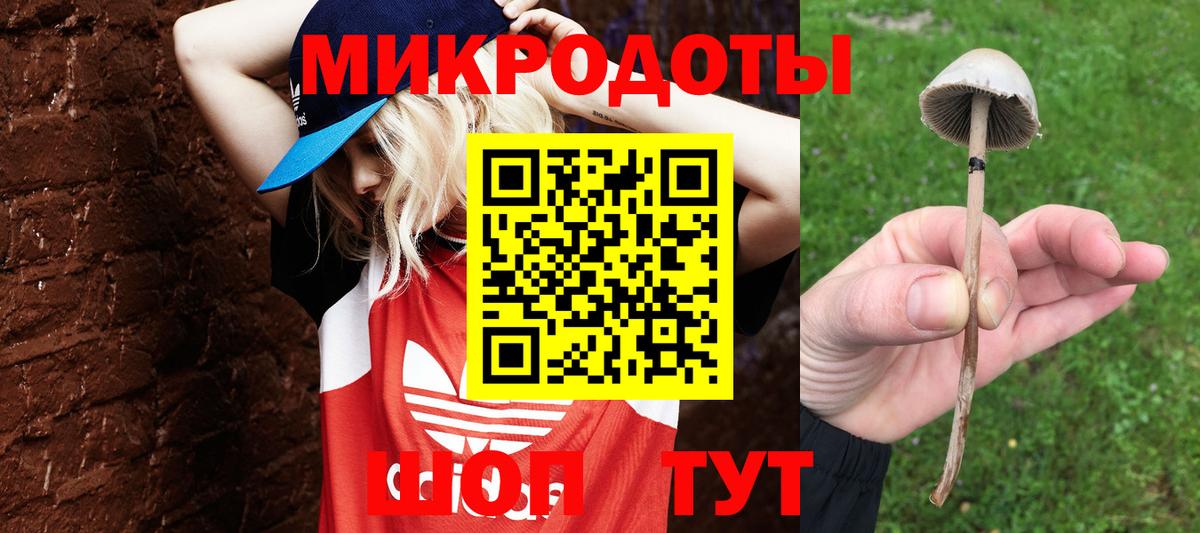 Мелеуз  сколько стоит  Вход с VPN  Псилоцибиновые грибы ЛСД  Галлюциногенные грибы Magic Shrooms 